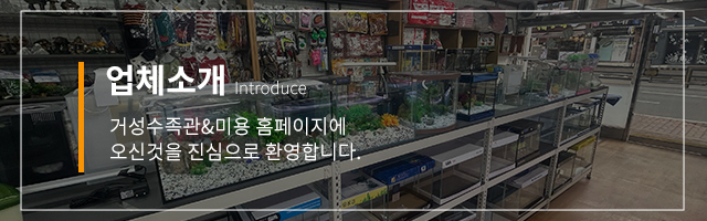 업체소개