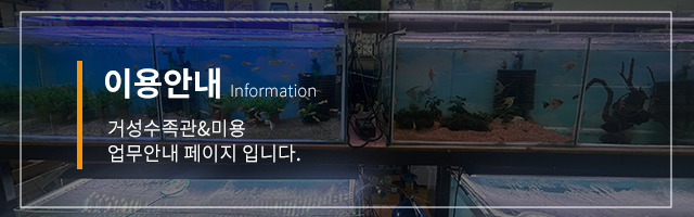 이용안내
