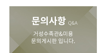 문의사항